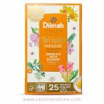 Dilmah Ceylon Green tea with natural Soursop flavor