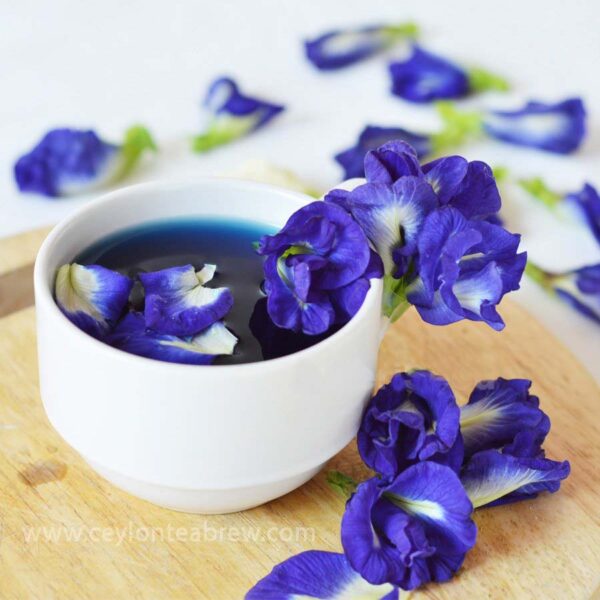 herbal drink natural blue butterfly flower tea drink